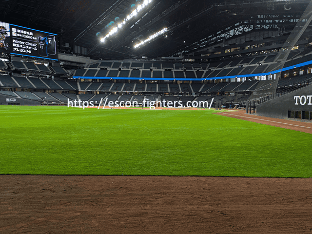 エスコン スタジアムツアーの見どころと料金プラン