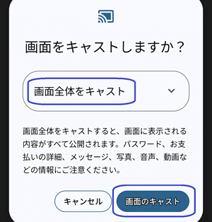 画面全体をキャストを選択
