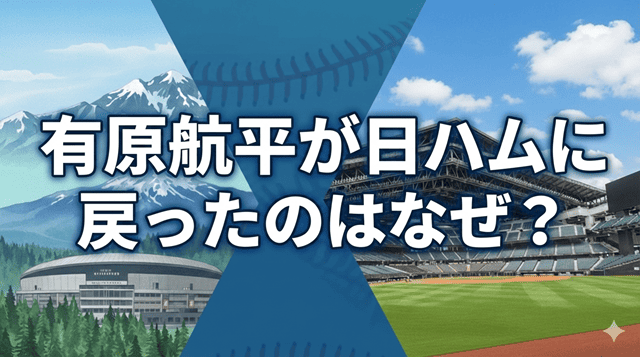 有原航平 日ハム なぜ